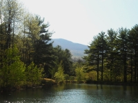 Pond Management: A General Overview